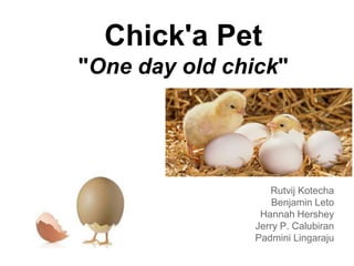 Chick'a Pet
"One day old chick"




                   Rutvij Kotecha
                    Benjamin Leto
                 Hannah Hershey
                Jerry P. Calubiran
                Padmini Lingaraju
 