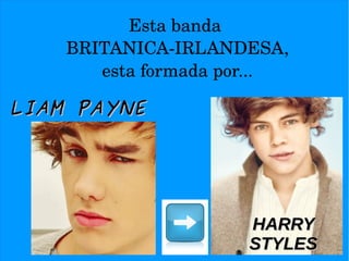 One Direction Infographic One direction infografia | ODP
