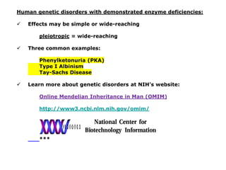 Human genetic disorders with demonstrated enzyme deficiencies:
✓ Effects may be simple or wide-reaching
pleiotropic = wide-reaching
✓ Three common examples:
Phenylketonuria (PKA)
Type I Albinism
Tay-Sachs Disease
✓ Learn more about genetic disorders at NIH’s website:
Online Mendelian Inheritance in Man (OMIM)
http://www3.ncbi.nlm.nih.gov/omim/
***
 