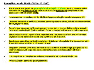 Phenylketonuria (PKU, OMIM-261600)
✓ Mutation in the gene for phenylalanine hydroxylase, which prevents the
conversion of phenyalanine to the amino acid tyrosine (phenylalanine is
essential to the human diet).
✓ Homozygous recessive: ~1 in 12,000 Caucasian births on chromosome 12.
✓ Children born with PKU accumulate excess phenyalanine, which is converted to
phenylpyruvic acid.
✓ Results are damage to the nervous system: severe retardation, slow growth
rate, and early death (prior to birth fetus is protected by maternal enzymes).
✓ Pleiotropic effects: tyrosine is required for the production of the hormones
thyroxine and adrenaline and the synthesis of melanin.
✓ Can be managed by controlling dietary intake of phenylalanine beginning at 1-
2 months after birth to ~10 years of age.
✓ Pregnant women with PKU should maintain their diet through pregnancy, or
their children will experience mental retardation independent of their
genotype.
✓ U.S. requires all newborns to be screened for PKU; the Guthrie test
✓ “NutraSweet” contains phenylalanine
 