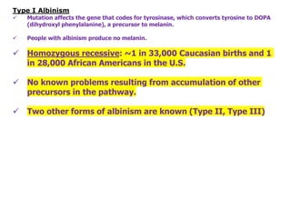 Type I Albinism
✓ Mutation affects the gene that codes for tyrosinase, which converts tyrosine to DOPA
(dihydroxyl phenylalanine), a precursor to melanin.
✓ People with albinism produce no melanin.
✓ Homozygous recessive: ~1 in 33,000 Caucasian births and 1
in 28,000 African Americans in the U.S.
✓ No known problems resulting from accumulation of other
precursors in the pathway.
✓ Two other forms of albinism are known (Type II, Type III)
 