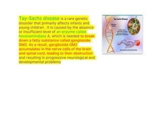 Tay-Sachs disease is a rare genetic
disorder that primarily affects infants and
young children . It is caused by the absence
or insufficient level of an enzyme called
hexosaminidase A, which is needed to break
down a fatty substance called ganglioside
GM2. As a result, ganglioside GM2
accumulates in the nerve cells of the brain
and spinal cord, leading to their destruction
and resulting in progressive neurological and
developmental problems
 