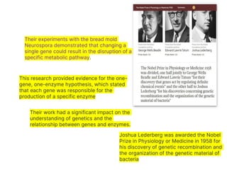 Their experiments with the bread mold
Neurospora demonstrated that changing a
single gene could result in the disruption of a
specific metabolic pathway.
This research provided evidence for the one-
gene, one-enzyme hypothesis, which stated
that each gene was responsible for the
production of a specific enzyme
Their work had a significant impact on the
understanding of genetics and the
relationship between genes and enzymes.
Joshua Lederberg was awarded the Nobel
Prize in Physiology or Medicine in 1958 for
his discovery of genetic recombination and
the organization of the genetic material of
bacteria
 