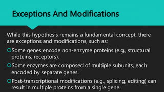 One Gene One Enzyme Theory.pptxvhvhfhfhfhf | PPTX