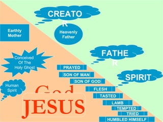 God Earthly Mother Heavenly Father Human Spirit Conceived  Of The Holy Ghost SPIRIT FLESH LAMB SON OF GOD TEMPTED TASTED PRAYED TRIED CREATOR FATHER HUMBLED HIMSELF SON OF MAN JESUS 