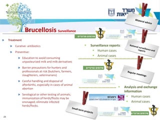 23
▪ Surveillance reports:
▪ Human cases
▪ Animal cases
▪ Analysis and exchange
information
▪ Human cases
▪ Animal cases
Brucellosis Surveillance
 Treatment
 Curative: antibiotics
 Preventive:
 Education to avoid consuming
unpasteurized milk and milk derivatives
 Barrier precautions for hunters and
professionals at risk (butchers, farmers,
slaughterers, veterinarians)
 Careful handling and disposal of
afterbirths, especially in cases of animal
abortion
 Serological or other testing of animals;
immunization of herds/flocks may be
envisaged; eliminate infected
herds/flocks.
 