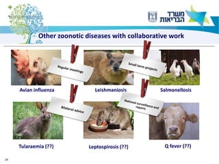 24
Avian influenza
Other zoonotic diseases with collaborative work
Tularaemia (??)
Leishmaniosis Salmonellosis
Leptospirosis (??) Q fever (??)
 