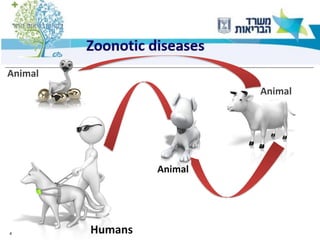 4
Animal
Zoonotic diseases
Animal
Humans
Animal
 