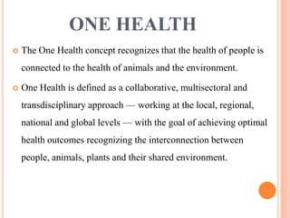One health | PPTX