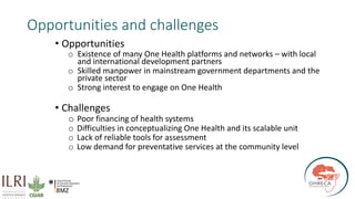 The critical crossroads of animal, human, and environmental health: Scaling up One Health
