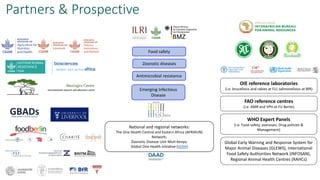 The critical crossroads of animal, human, and environmental health: Scaling up One Health