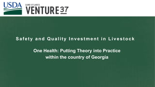 The critical crossroads of animal, human, and environmental health: Scaling up One Health