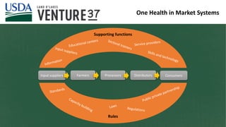 The critical crossroads of animal, human, and environmental health: Scaling up One Health