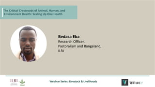 The critical crossroads of animal, human, and environmental health: Scaling up One Health