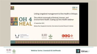 The critical crossroads of animal, human, and environmental health: Scaling up One Health