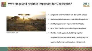 The critical crossroads of animal, human, and environmental health: Scaling up One Health