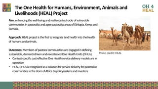 The critical crossroads of animal, human, and environmental health: Scaling up One Health
