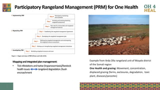 The critical crossroads of animal, human, and environmental health: Scaling up One Health