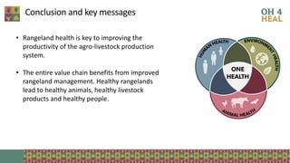 The critical crossroads of animal, human, and environmental health: Scaling up One Health