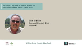 The critical crossroads of animal, human, and environmental health: Scaling up One Health