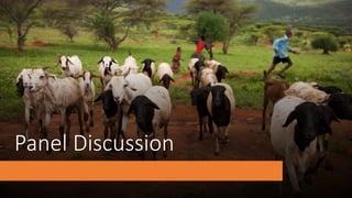 The critical crossroads of animal, human, and environmental health: Scaling up One Health