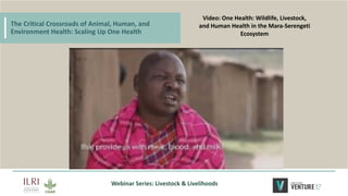 The critical crossroads of animal, human, and environmental health: Scaling up One Health