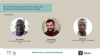 The critical crossroads of animal, human, and environmental health: Scaling up One Health
