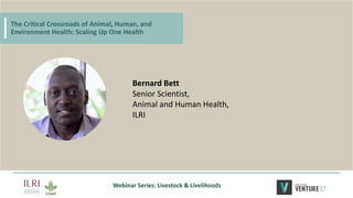 The critical crossroads of animal, human, and environmental health: Scaling up One Health
