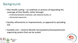 The critical crossroads of animal, human, and environmental health: Scaling up One Health