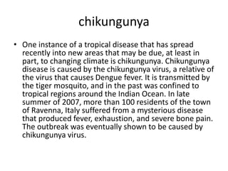 chikungunya
• One instance of a tropical disease that has spread
recently into new areas that may be due, at least in
part, to changing climate is chikungunya. Chikungunya
disease is caused by the chikungunya virus, a relative of
the virus that causes Dengue fever. It is transmitted by
the tiger mosquito, and in the past was confined to
tropical regions around the Indian Ocean. In late
summer of 2007, more than 100 residents of the town
of Ravenna, Italy suffered from a mysterious disease
that produced fever, exhaustion, and severe bone pain.
The outbreak was eventually shown to be caused by
chikungunya virus.
 
