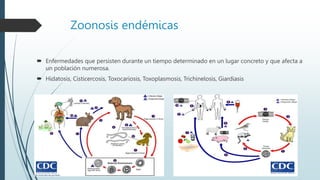 Zoonosis endémicas
 Enfermedades que persisten durante un tiempo determinado en un lugar concreto y que afecta a
un población numerosa.
 Hidatosis, Cisticercosis, Toxocariosis, Toxoplasmosis, Trichinelosis, Giardiasis
 