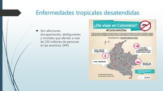 Enfermedades tropicales desatendidas
 Son afecciones
discapacitantes, desfigurantes
y mortales que afectan a mas
de 230 millones de personas
en las americas. OMS.
 