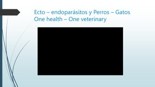 Ecto – endoparásitos y Perros – Gatos
One health – One veterinary
 