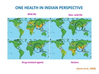 ONE HEALTH IN INDIAN PERSPECTIVE
Wild life Non- wild life
Vectors
Drug resistant agents
(Jones et al., 2008)
 