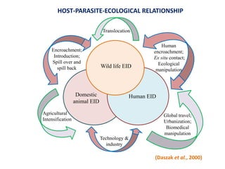 Wild life EID
Domestic
animal EID
Human EID
Translocation
Agricultural
Intensification
Global travel;
Urbanization;
Biomedical
manipulation
Technology &
industry
Encroachment;
Introduction;
Spill over and
spill back
Human
encroachment;
Ex situ contact;
Ecological
manipulation
(Daszak et al., 2000)
HOST-PARASITE-ECOLOGICAL RELATIONSHIP
 