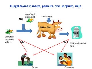Regional consultation on One Health/Ecohealth: Identifying the challenges
