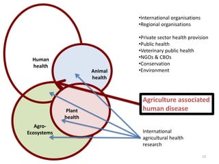 Regional consultation on One Health/Ecohealth: Identifying the challenges