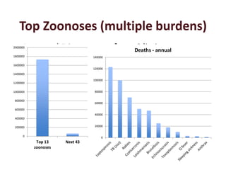 Regional consultation on One Health/Ecohealth: Identifying the challenges