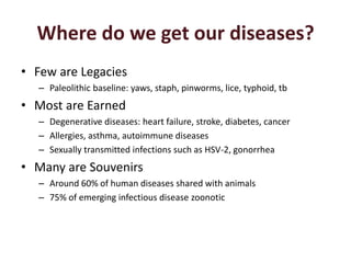 Regional consultation on One Health/Ecohealth: Identifying the challenges