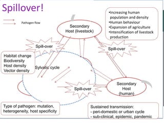 Regional consultation on One Health/Ecohealth: Identifying the challenges