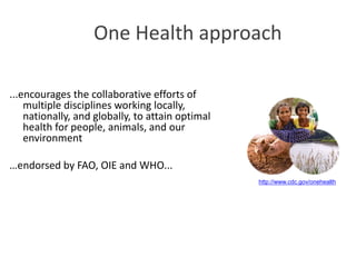 One Health – an interdisciplinary approach in combating emerging diseases