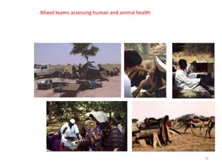 One Health – an interdisciplinary approach in combating emerging diseases