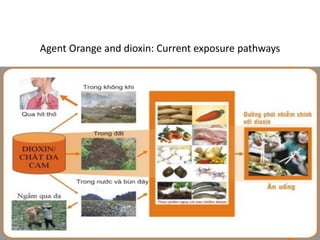 One Health – an interdisciplinary approach in combating emerging diseases