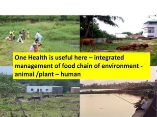 One Health – an interdisciplinary approach in combating emerging diseases