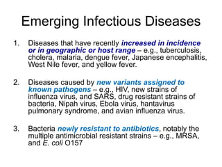 One Health – an interdisciplinary approach in combating emerging diseases