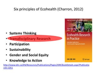 One Health – an interdisciplinary approach in combating emerging diseases