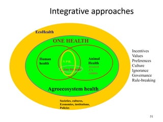 One Health – an interdisciplinary approach in combating emerging diseases