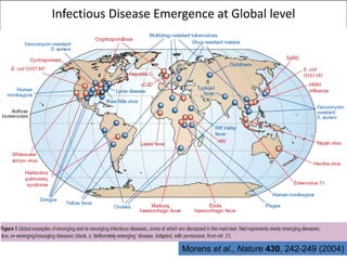 One Health – an interdisciplinary approach in combating emerging diseases
