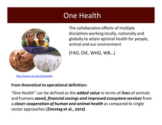 Inter-sectoral collaboration for One Health implementation in Vietnam: training, research and emerging infectious disease control policies
