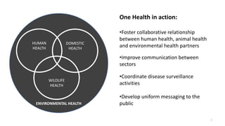 One health | PPTX